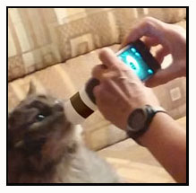 Photo shows Dona holding a camera near the head of a grey long-haired cat sitting on a couch.  The camera has a 6-inch tube in front of the lens, and the cat has put his nose into the tube to sniff.
