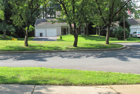 Photo shows a narrow 2-lane street on one side of a grassy median about 10 feet wide, with trees growing on it.