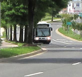 6 photos show a car and a bus approaching from where the street disappears.  The car stays in the nearest lane so we never lose sight of it, but the bus is in the farthest lane and it disappears behind the trees, then appears again when it is about 50 feet from us.