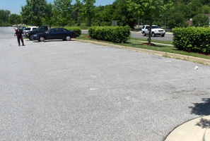 4 photos show Dona stepping off a curb in the parking lot and walking across about 7 parking spaces, then standing at one of the lane markers for the parking spaces.